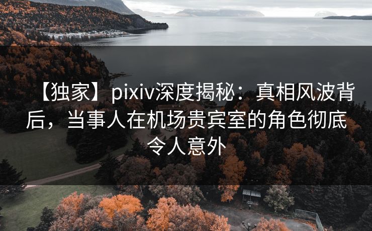 【独家】pixiv深度揭秘：真相风波背后，当事人在机场贵宾室的角色彻底令人意外