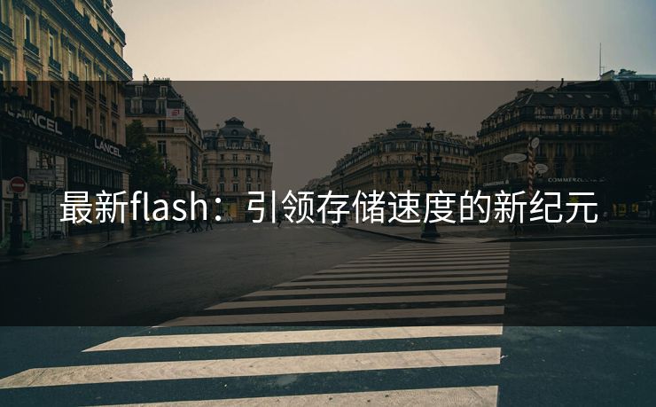 最新flash：引领存储速度的新纪元