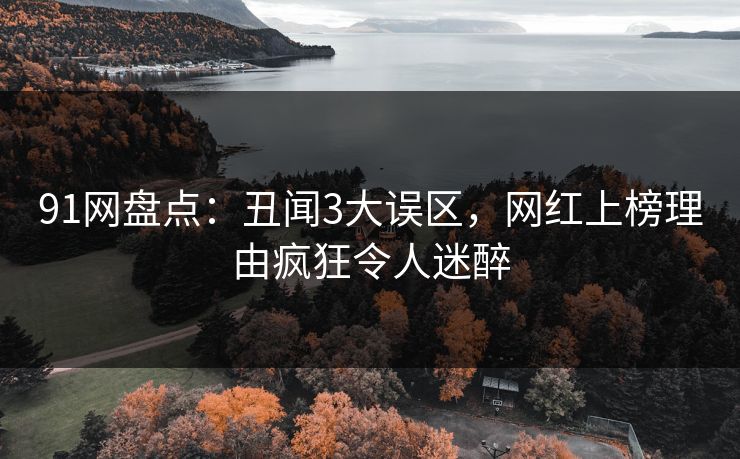 91网盘点：丑闻3大误区，网红上榜理由疯狂令人迷醉