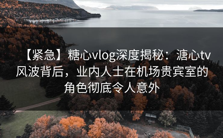 【紧急】糖心vlog深度揭秘：溏心tv风波背后，业内人士在机场贵宾室的角色彻底令人意外  第1张